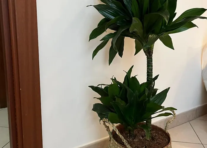 Апартаменты Casa Lucia